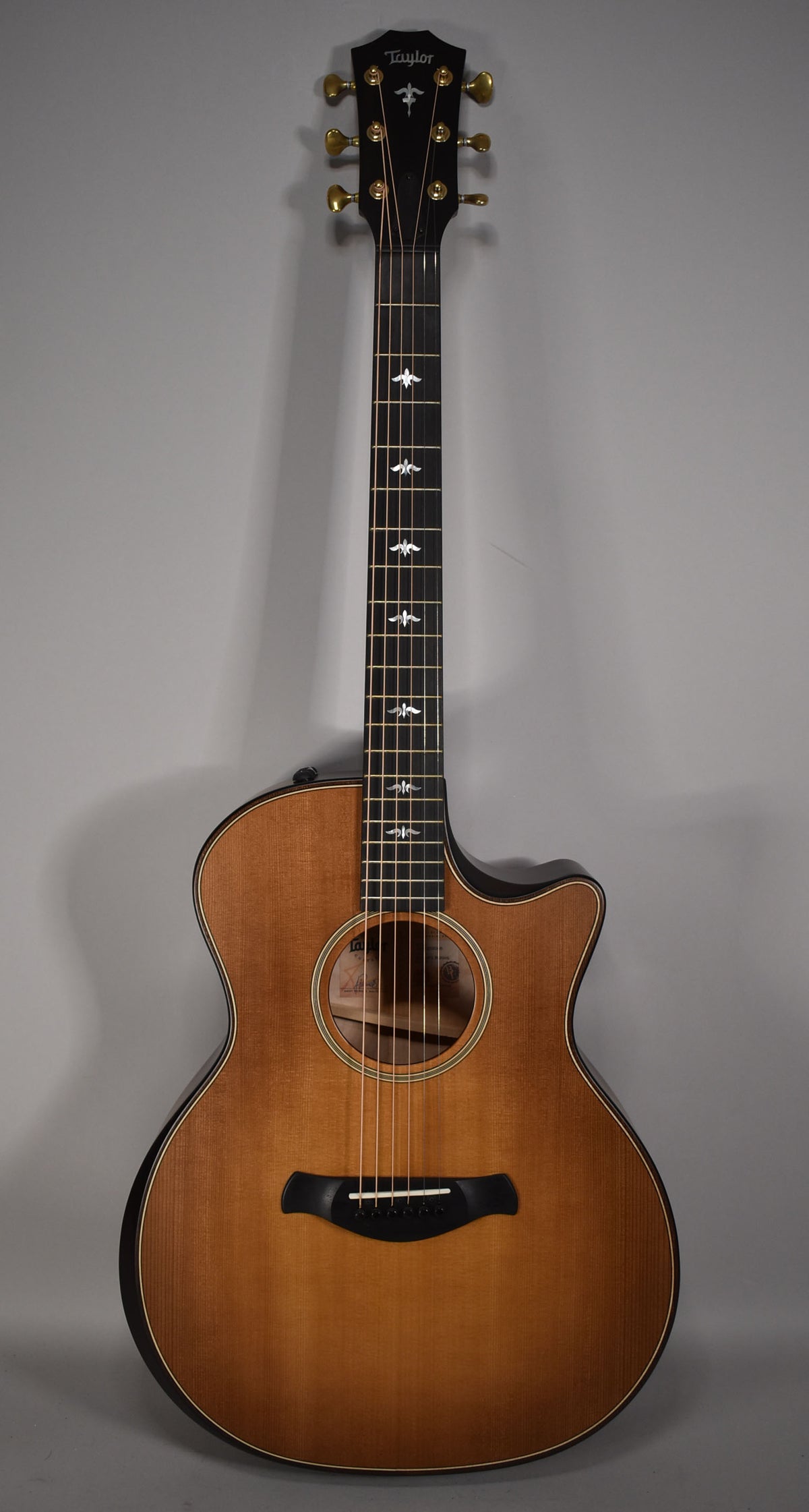 Full front view of a light brown acoustic guitar with a cutaway, dark fretboard with white bird inlays, and gold tuners.