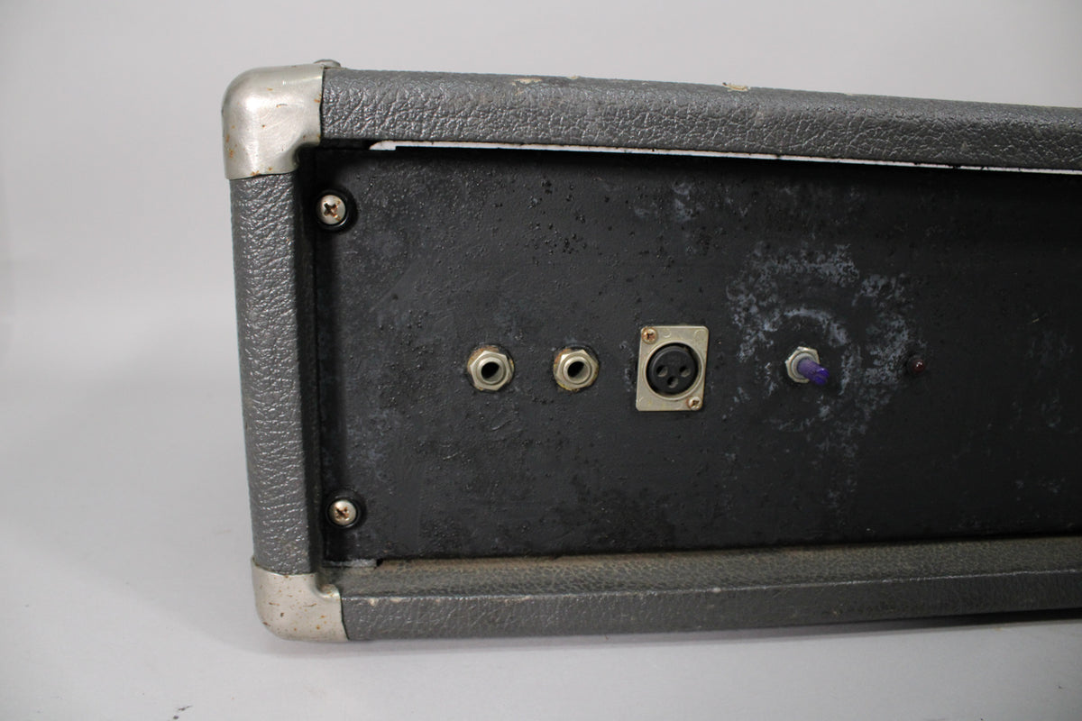 Close-up of the amp's textured black side panel, showing two 1/4" jacks, an XLR input, and a purple toggle switch.