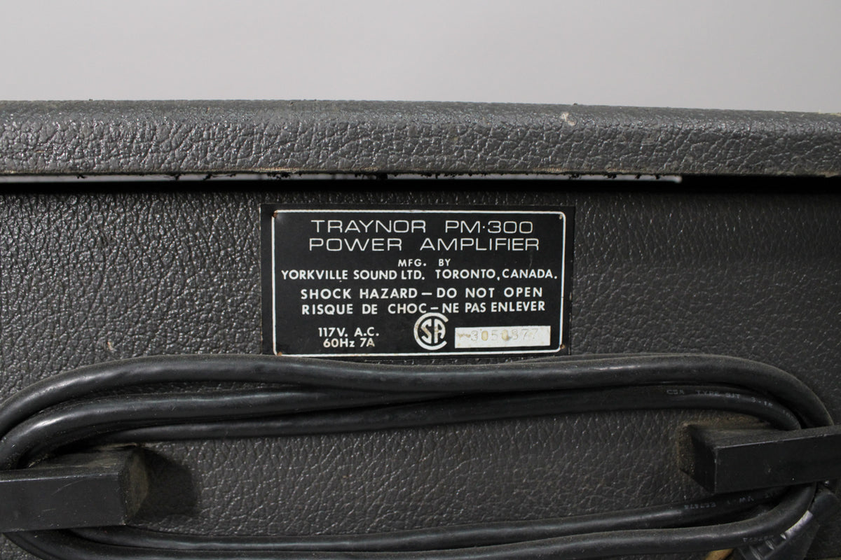 Close-up of the amp's textured black back panel, showing a black and silver information plate and a coiled power cable.