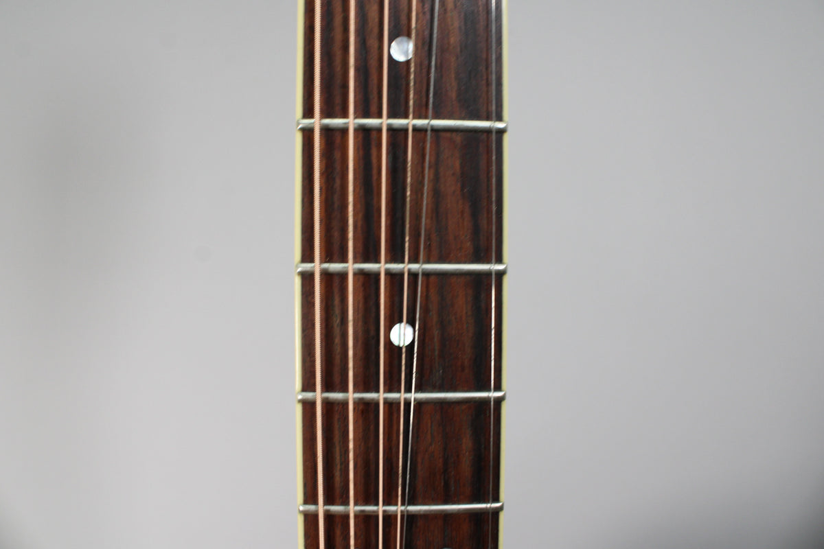Close-up of the dark wood fretboard with six strings, silver frets, and two mother-of-pearl dot inlays.