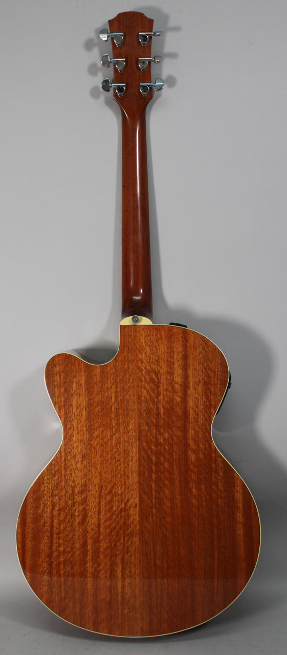 The guitar's back, neck, and headstock are visible, featuring a reddish-brown wood grain and chrome tuners.