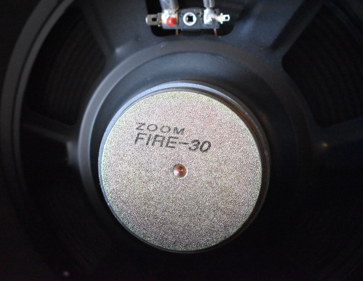 Close-up of the amp's black speaker cone, with a silver-colored dust cap showing the model name and two small terminals above.