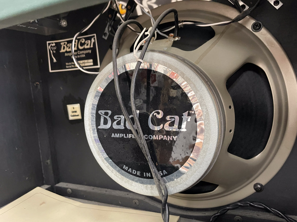 Close-up of the amp's speaker from the rear, showing the silver-grey cone, black magnet, and wiring, with a label on the left.