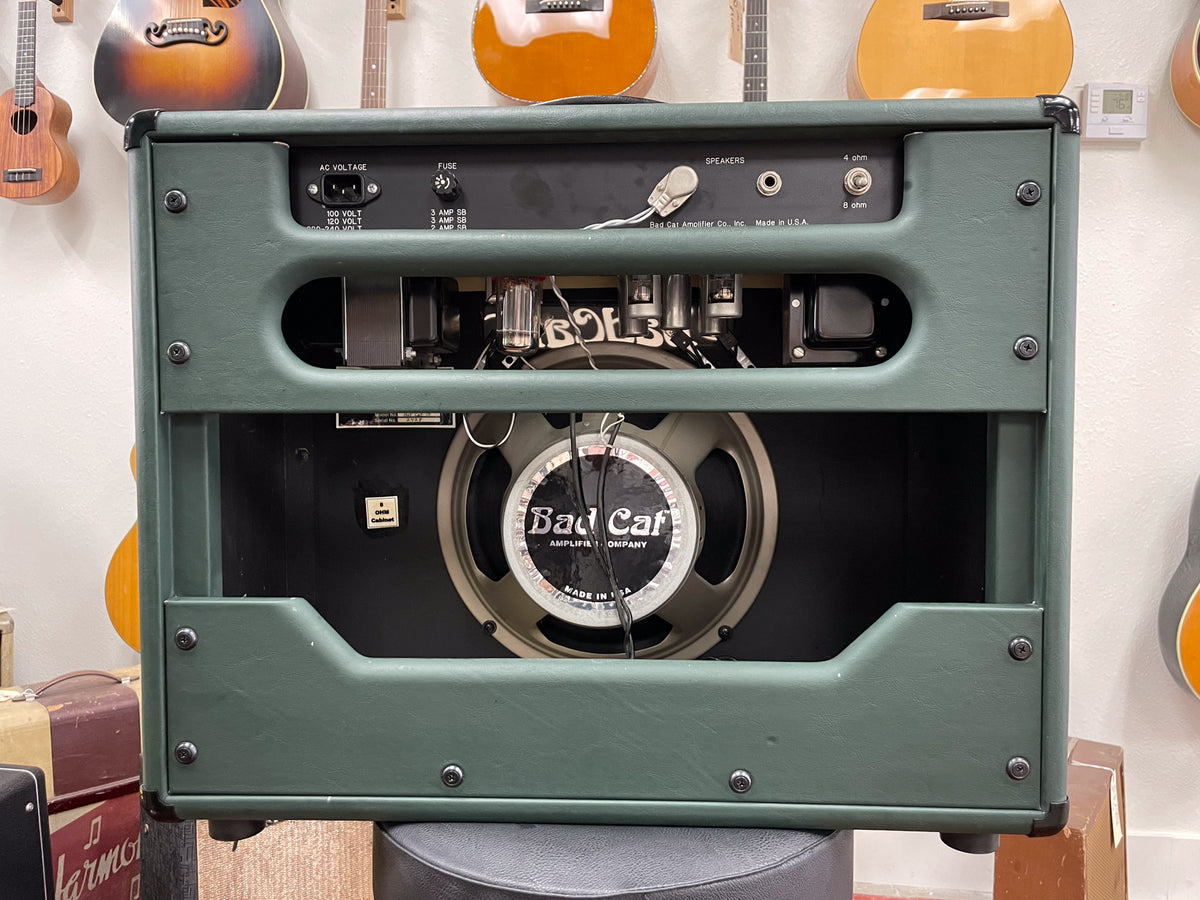 Rear view of a dark green combo amp, showing the exposed speaker, tubes, and various input/output jacks.