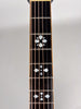 gold-tone-resonator-guitar-san-diego