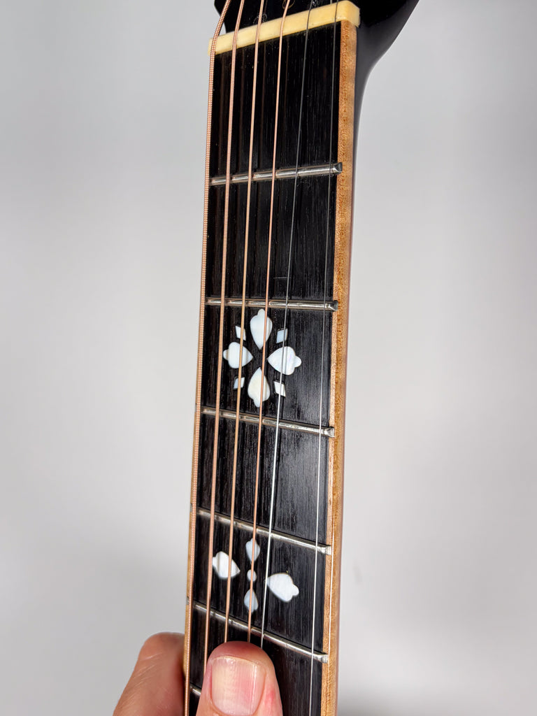 gold-tone-resonator-guitar-san-diego