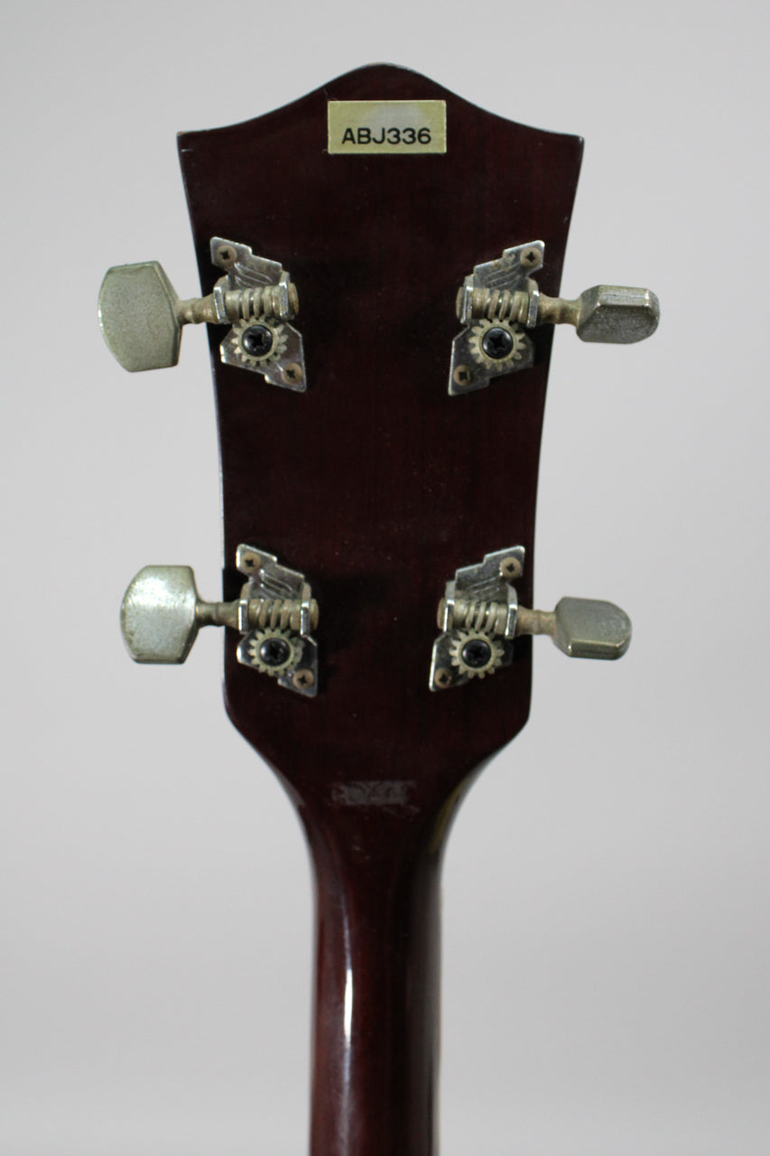 Rear view of the banjo's dark brown headstock and neck, showing four open-gear tuners with rectangular metal buttons and a small label.