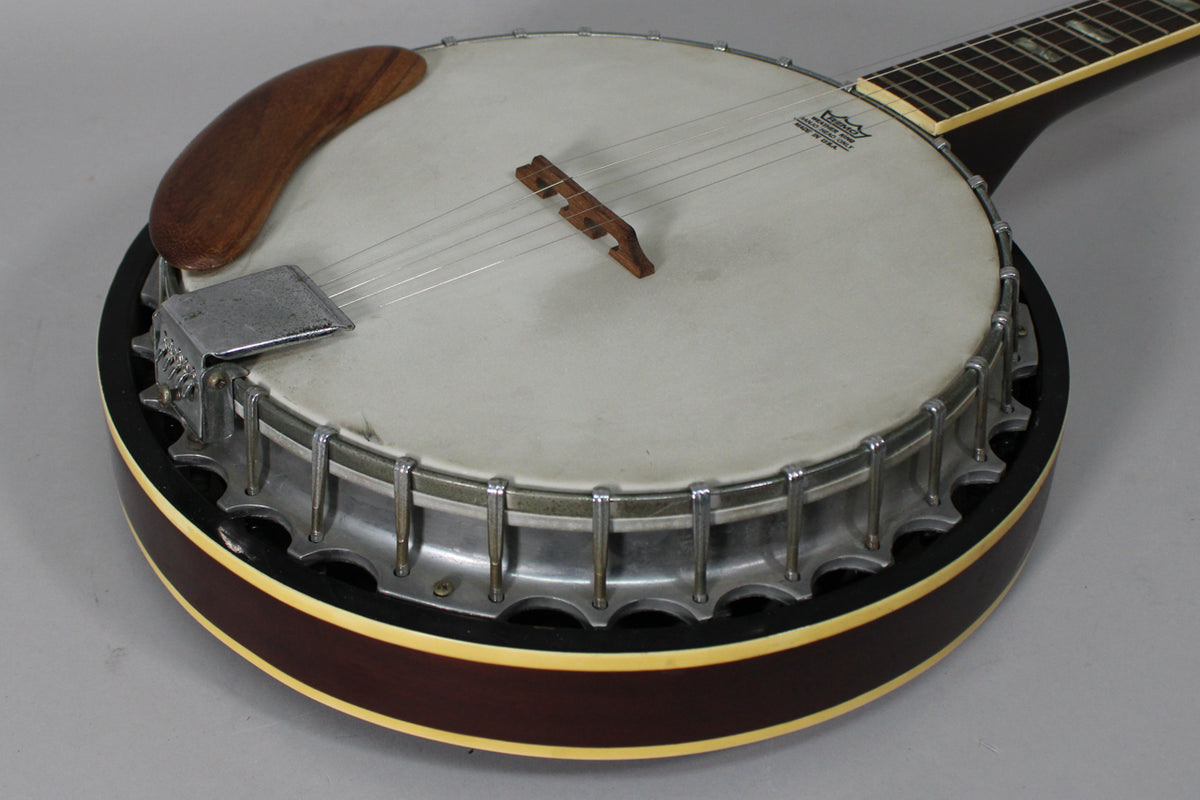 Close-up of the banjo's body, showing the worn white head, dark wood armrest, chrome tailpiece, and dark brown rim with cream binding.