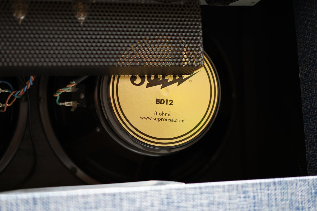 Close-up of the amp's two speakers, with one gold-labeled speaker cone visible behind a black metal grille.