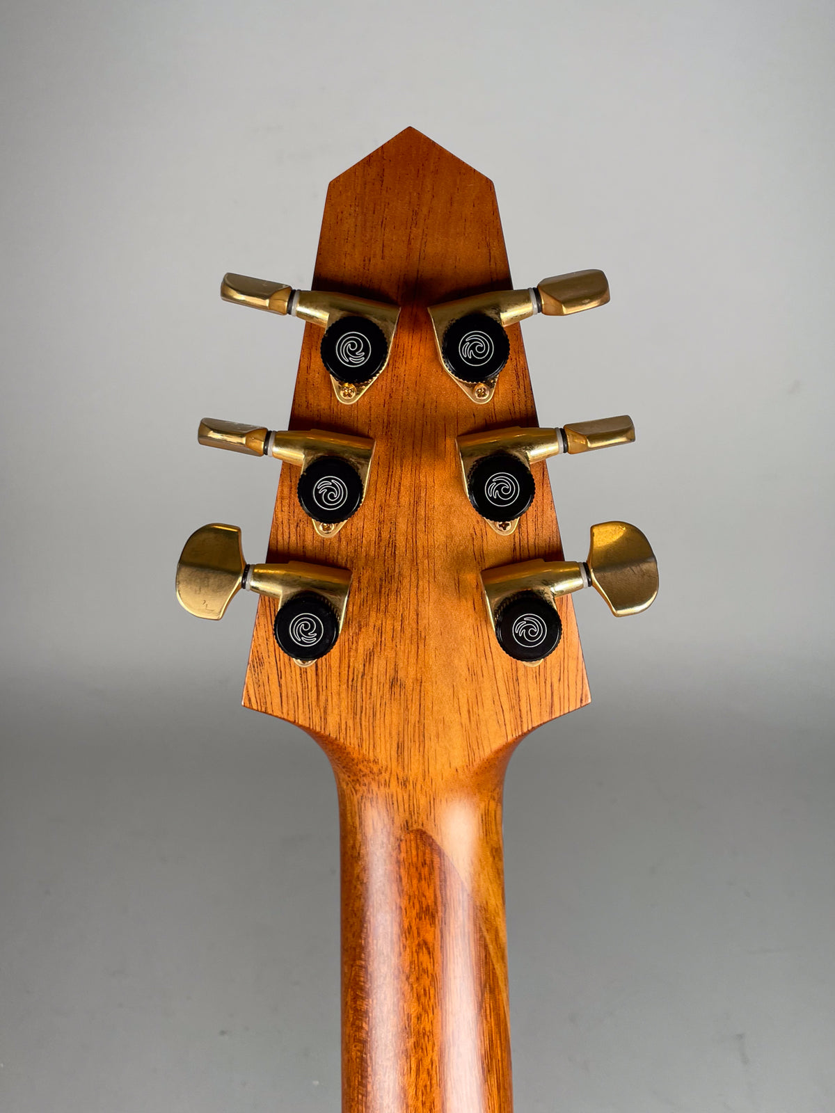 The back of the guitar's headstock and neck, showing six gold tuners with black buttons featuring a white spiral logo.