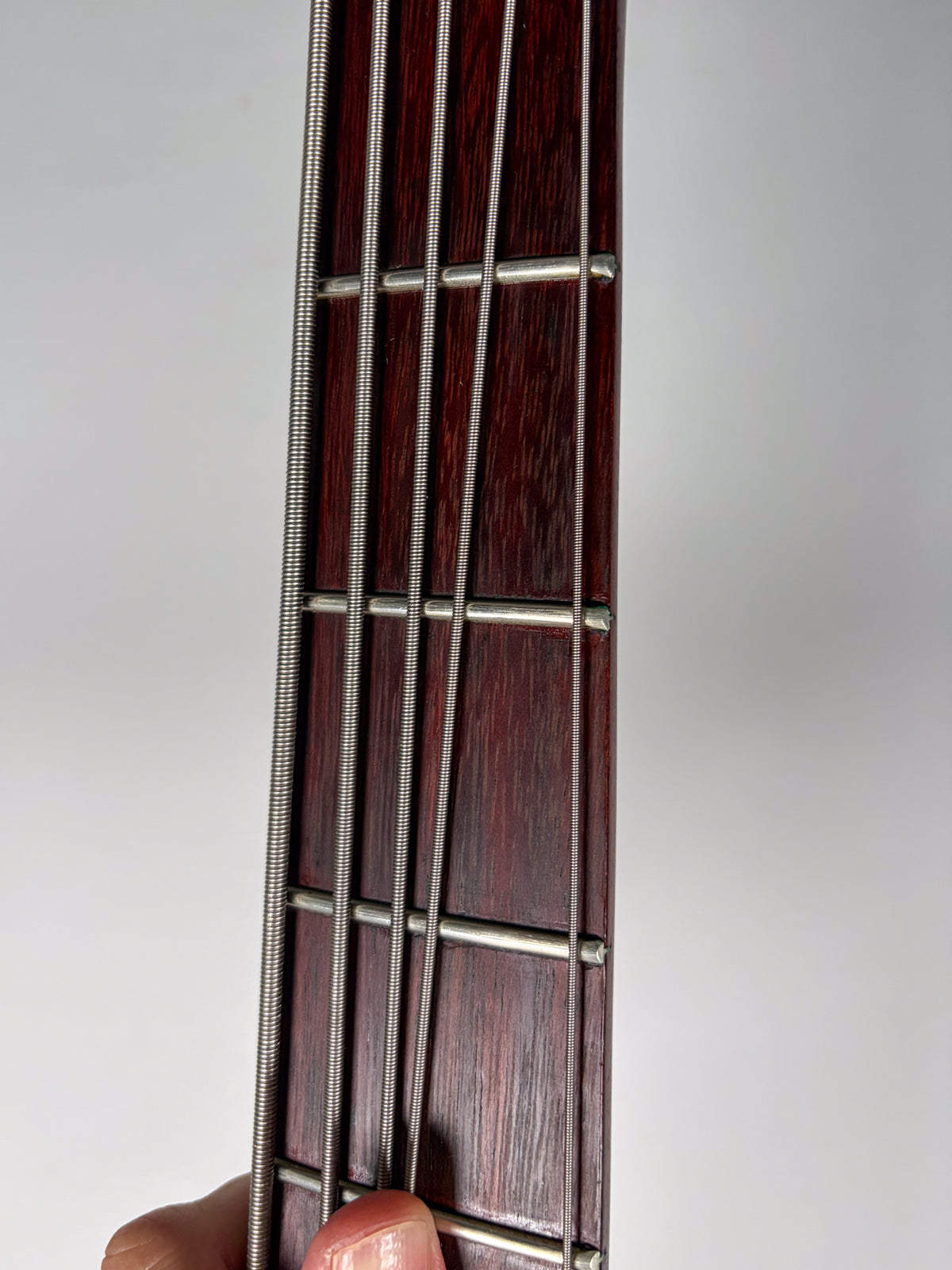 Warrior Dran Michael 5-String Neck Through Bass Guitar w/OHSC