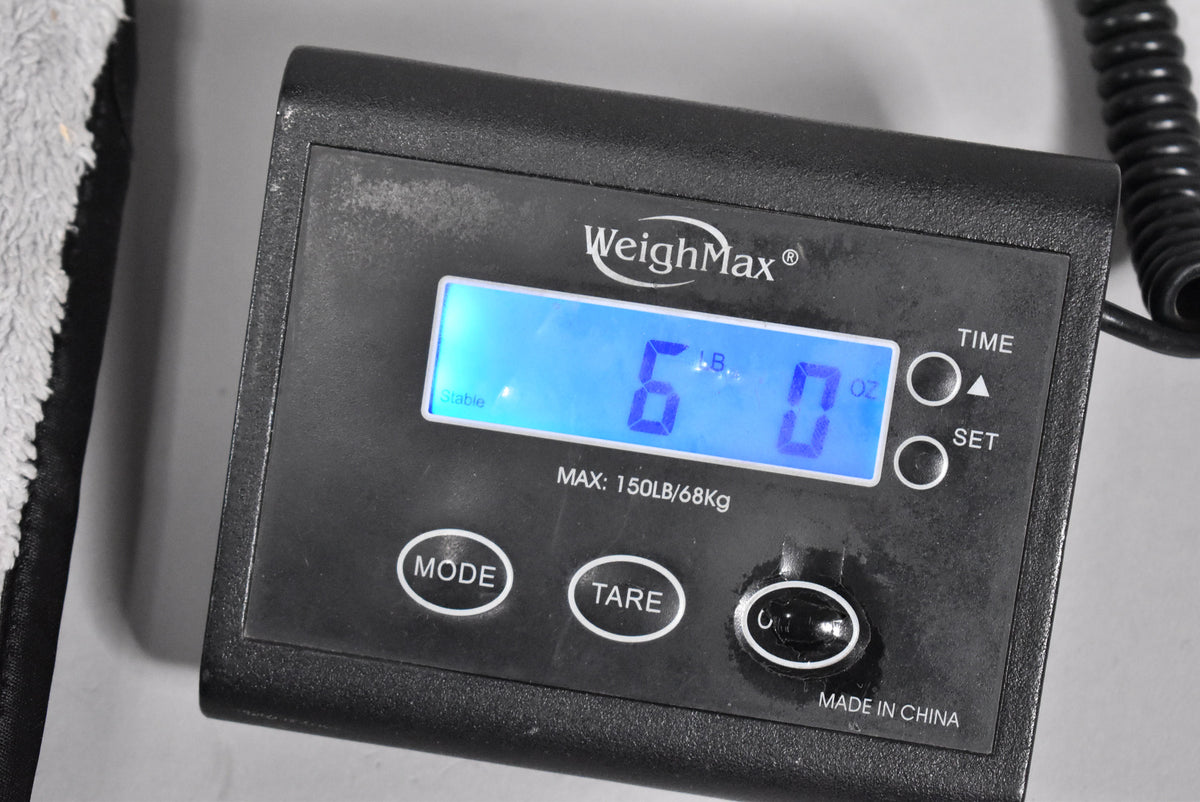 Close-up of a black digital scale displaying "6 lb 0 oz" on its blue backlit screen, with "WeighMax" and "MADE IN CHINA" visible.