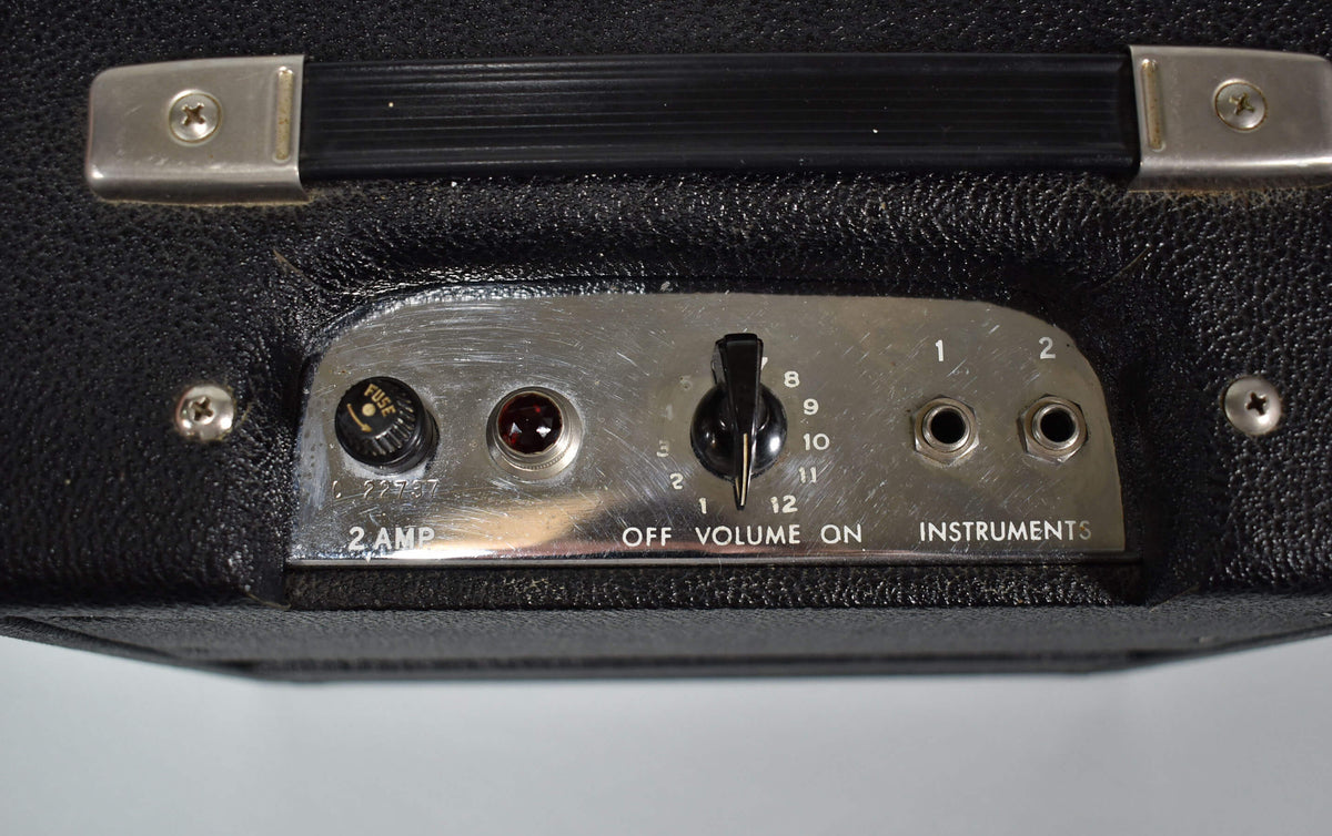 Close-up of the amp's top-mounted control panel, showing a fuse, red jewel light, volume knob, and two instrument inputs.