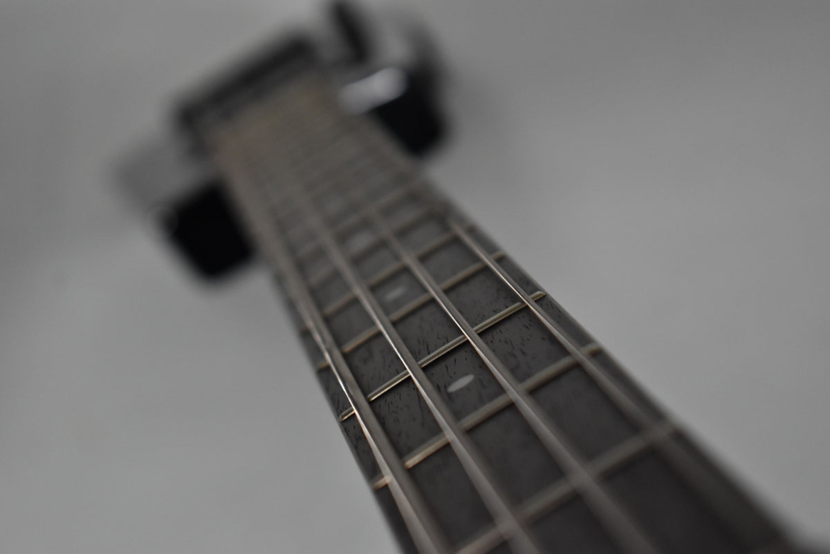 Close-up, angled view of the dark fretboard with silver frets and white dot inlays, extending into a blurry background.