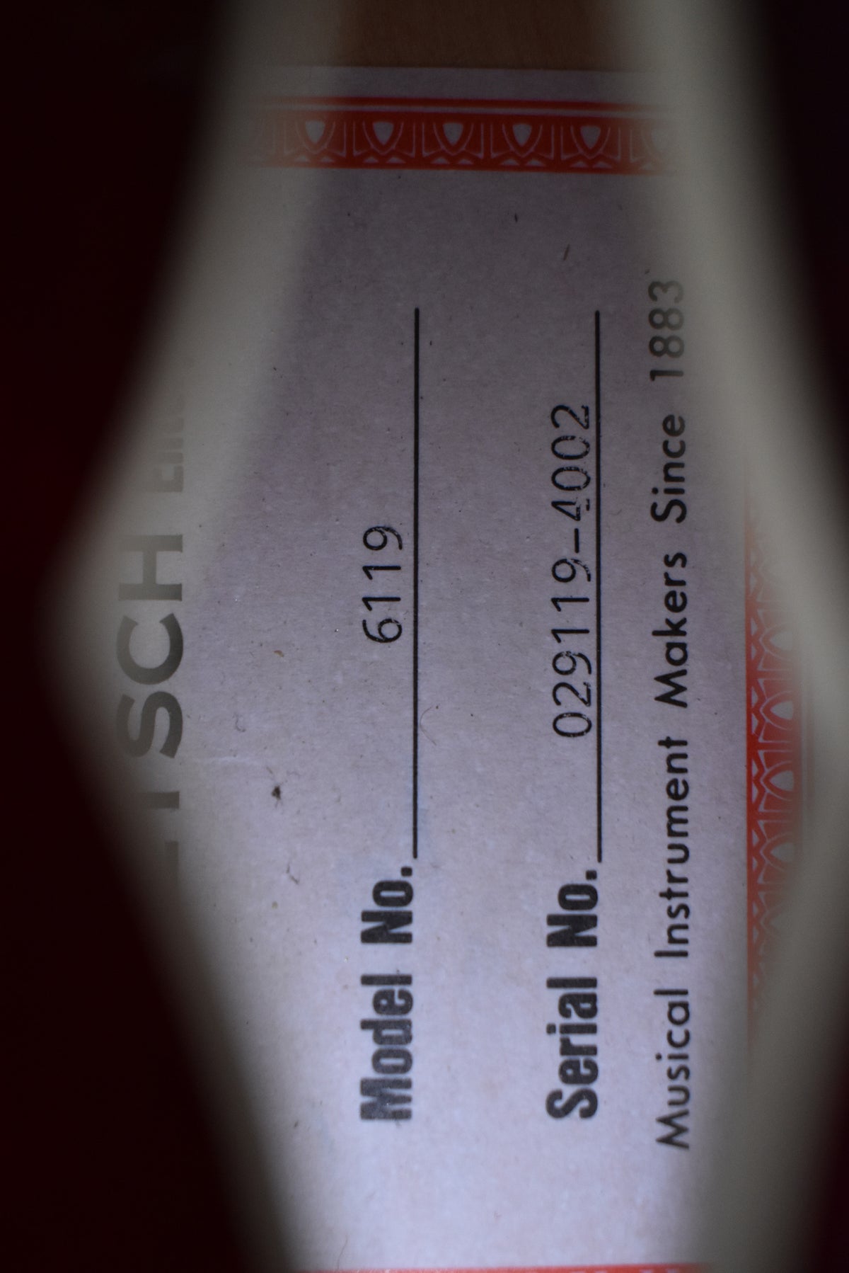 Close-up of the guitar's label inside the f-hole, showing "Model No. 6119" and "Serial No. 029119-4002".