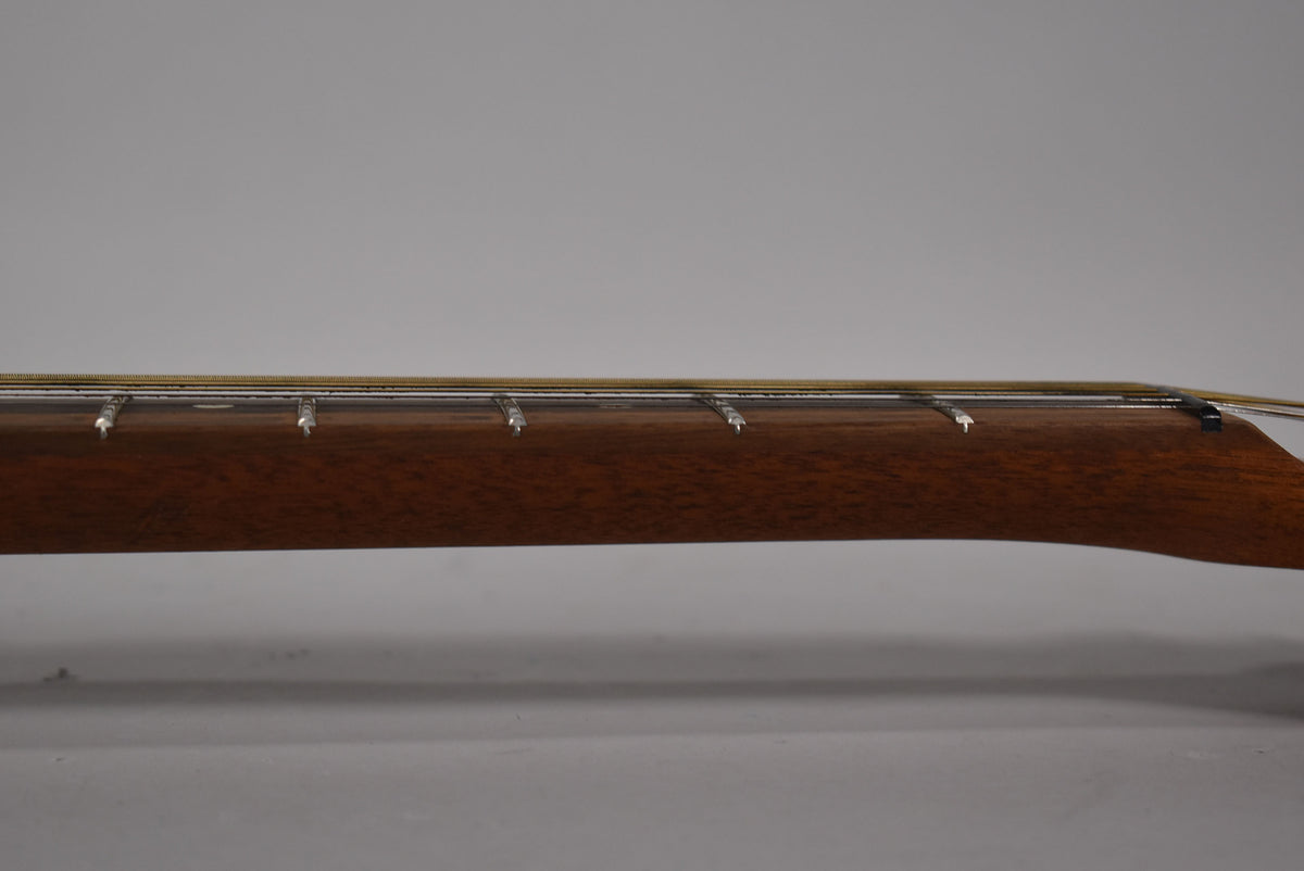 The guitar's dark brown fretboard and frets are seen from the side, with strings visible above and a black nut on the right.