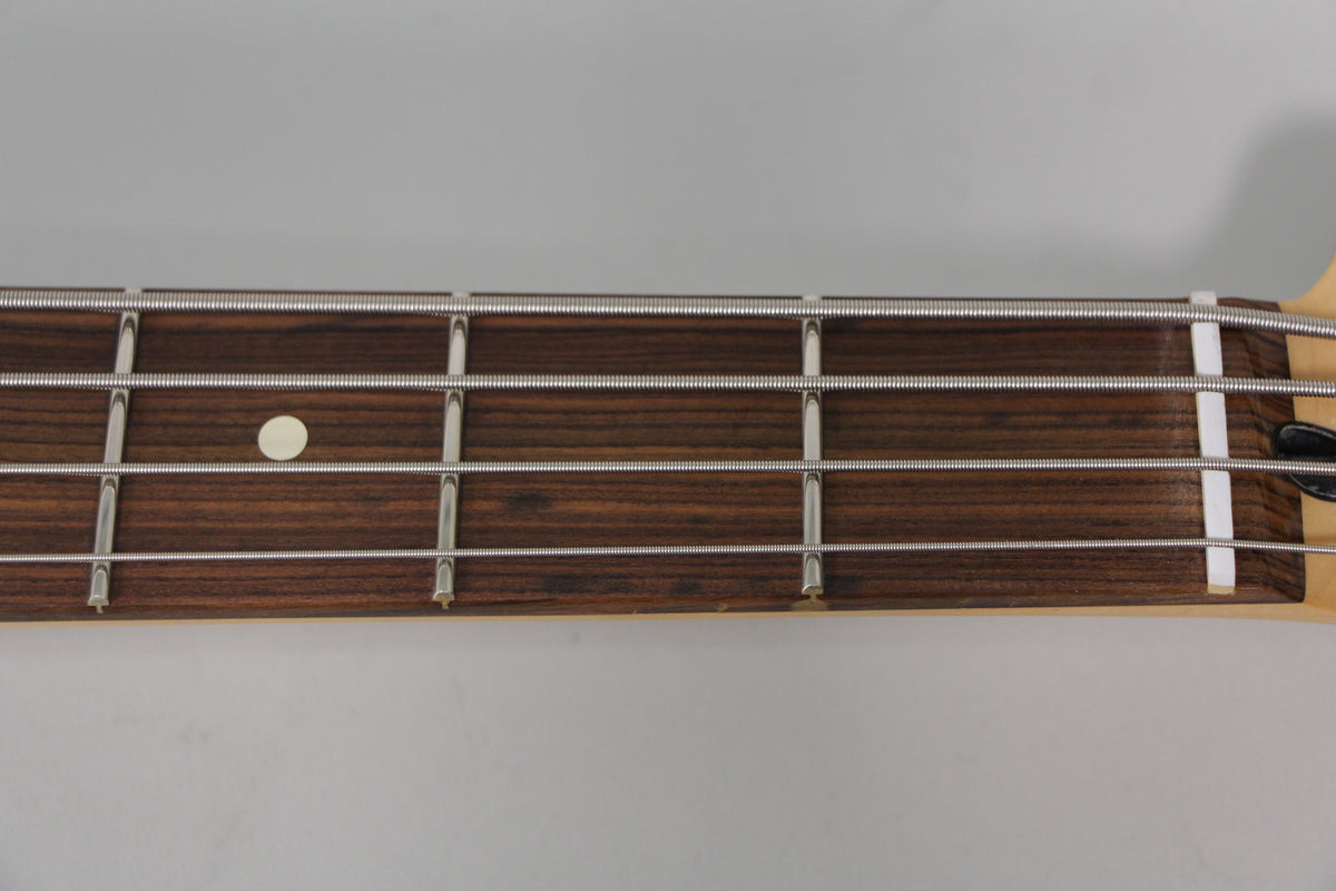 Close-up of the bass fretboard, showing dark wood, four strings, metal frets, a white dot inlay, and a white nut.