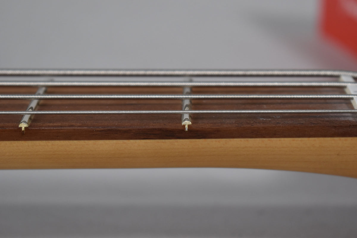 Close-up of the bass guitar's dark fretboard and four strings, with light-colored frets and side dots visible.