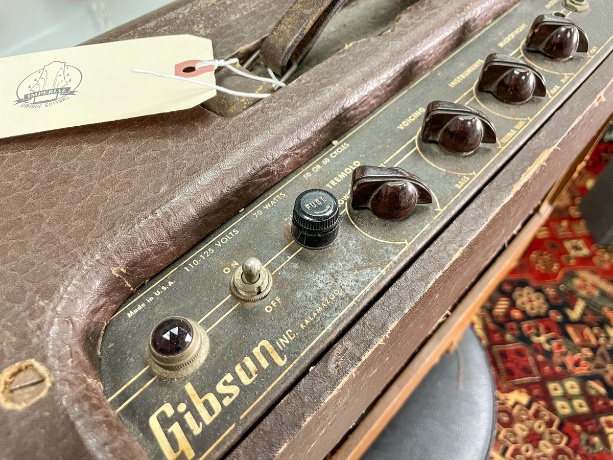 Close-up of the amp's brown leatherette top and dark gray control panel with brown chicken head knobs, a fuse cap, and a red jewel light.
