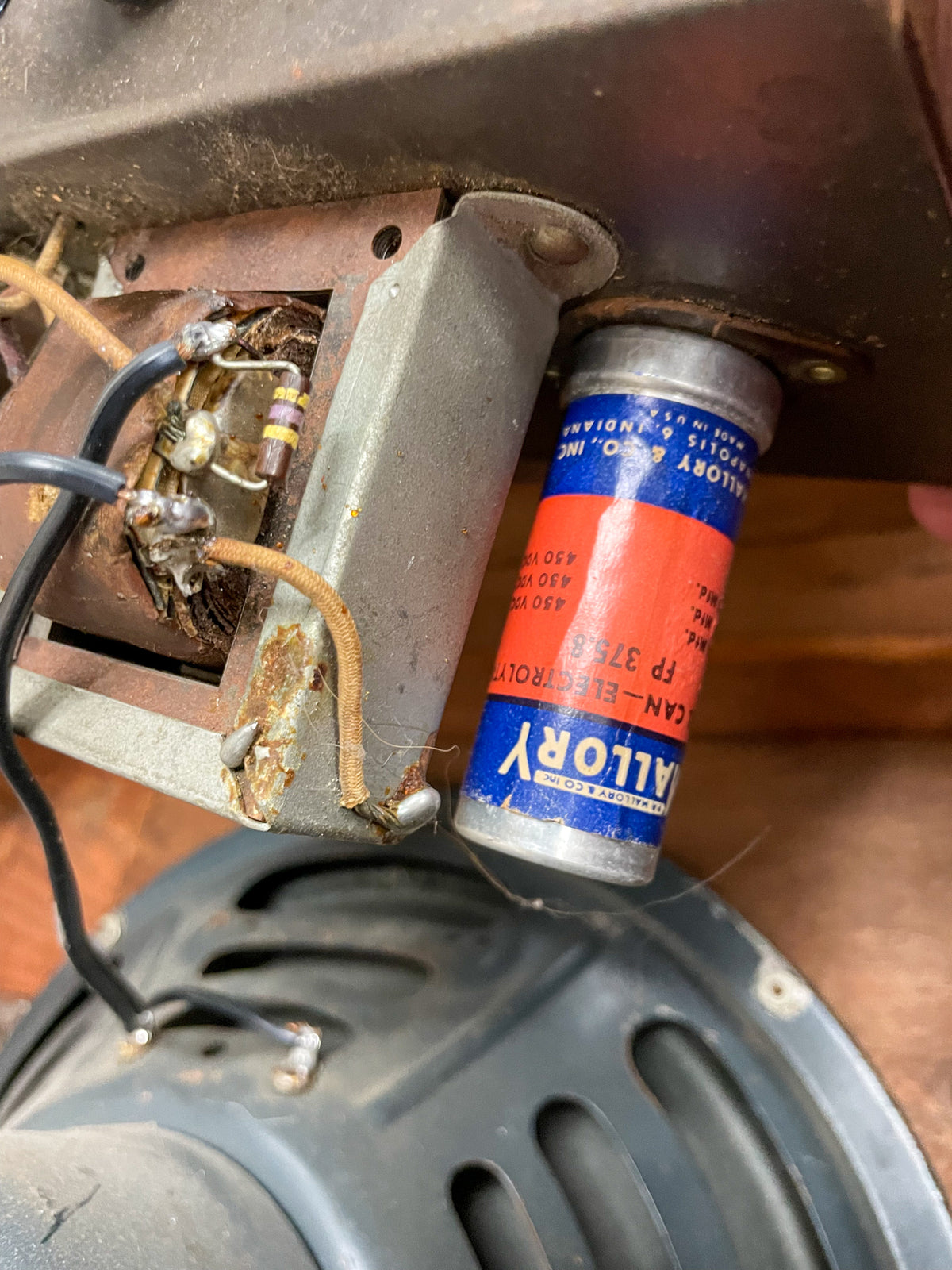 Close-up of the amp's interior, showing a red and blue capacitor, wiring, and a portion of the grey speaker cone, all with visible dust and wear.