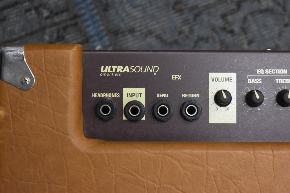 Close-up of the amp's dark brown control panel with four input jacks, a volume knob, and two EQ knobs, set into a tan leatherette cabinet.