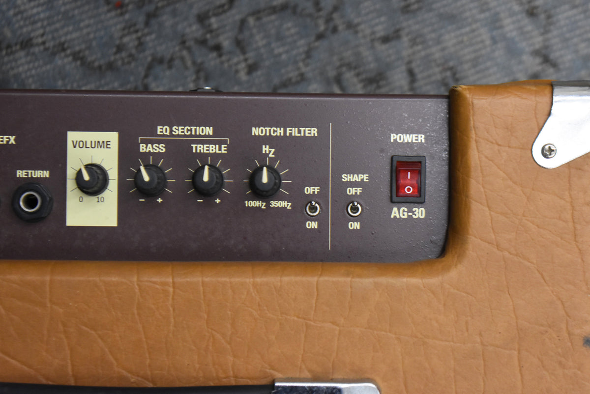 Close-up of the amp's dark brown control panel with black knobs, a red power switch, and tan tolex with a silver corner protector.
